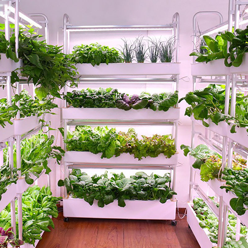 Smart Garden Vertical Planter - Hydroponics Growing System Vertical Smart Indoor