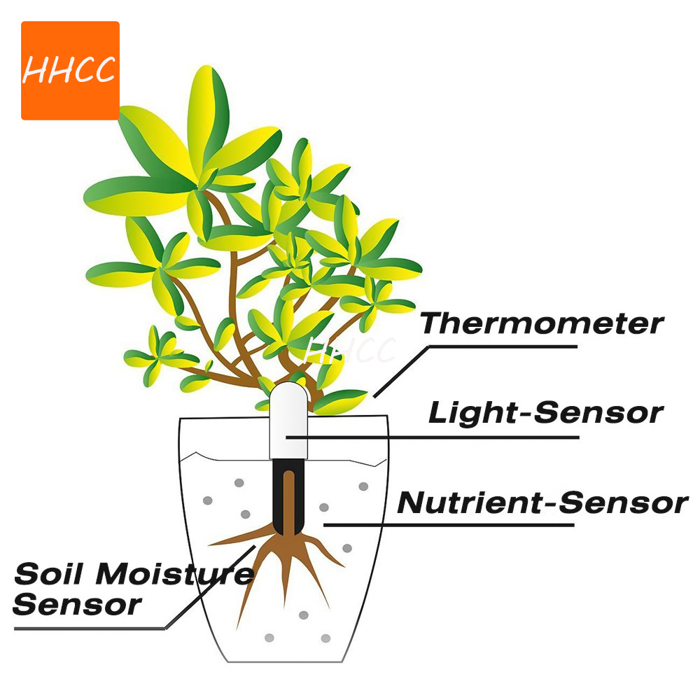 HHCC Smart Flower Monitor Flor - огляд і ціна Smart Garden Xiaomi