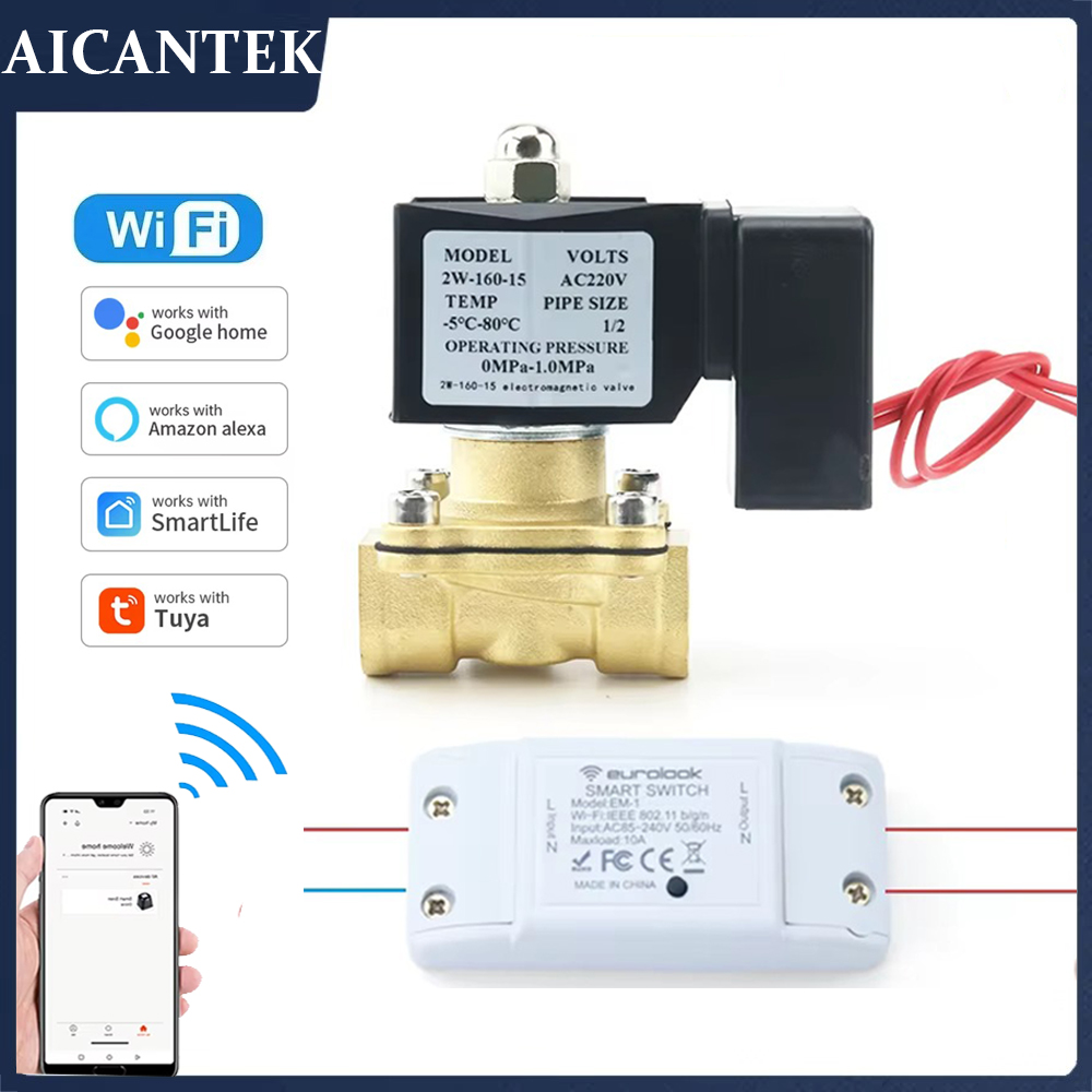 AC220V Tuya WiFi Smart Solenoi - огляд і ціна Smart Garden Instructions