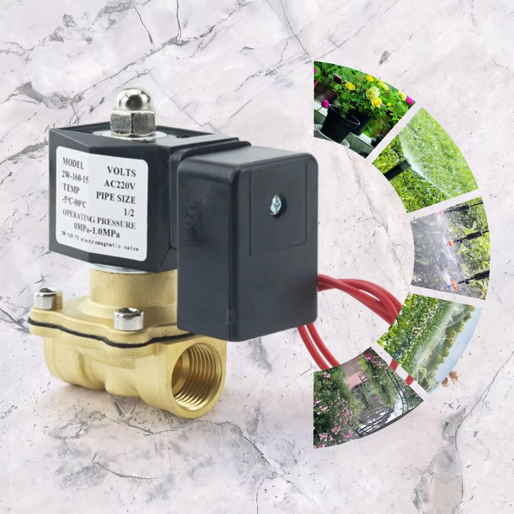 AC220V Tuya WiFi Smart Solenoi - огляд і ціна Smart Garden Instructions