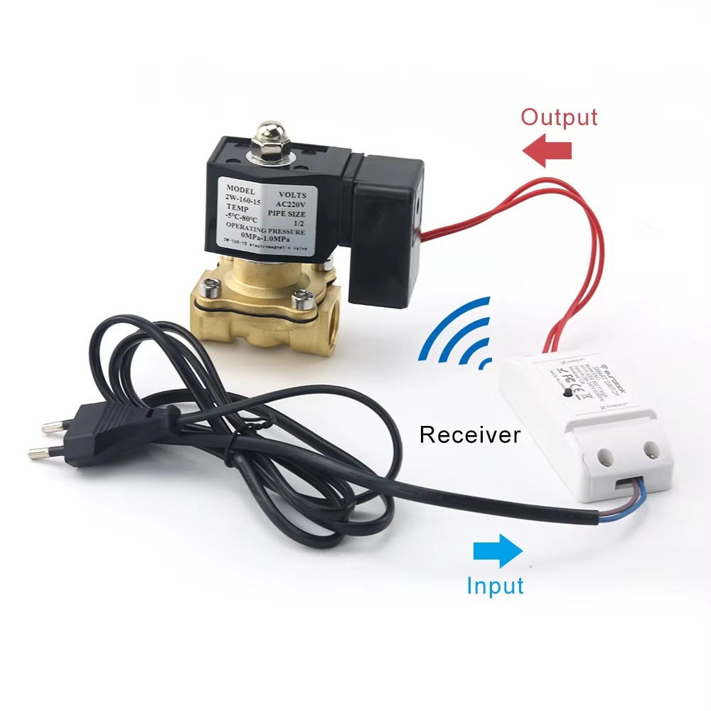 AC220V Tuya WiFi Smart Solenoi - огляд і ціна Smart Garden Instructions