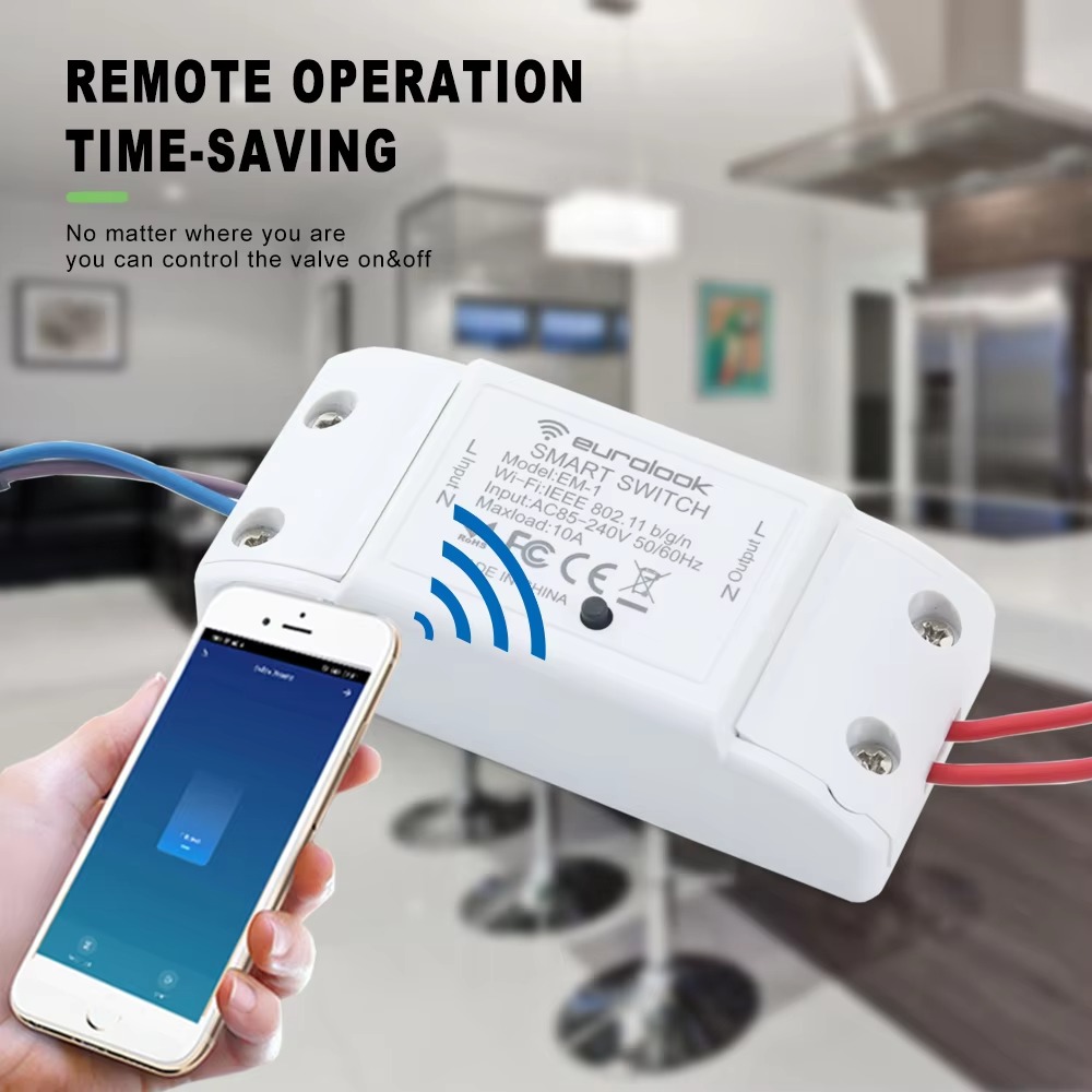 AC220V Tuya WiFi Smart Solenoi - огляд і ціна Smart Garden Instructions