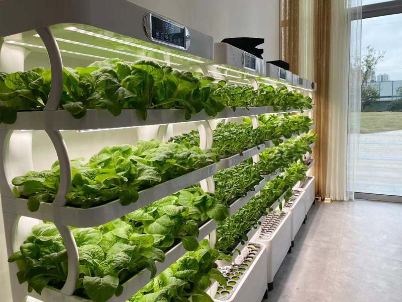 and Vertical Greenhouse Comple - огляд і ціна Smart Garden Vertical Planter