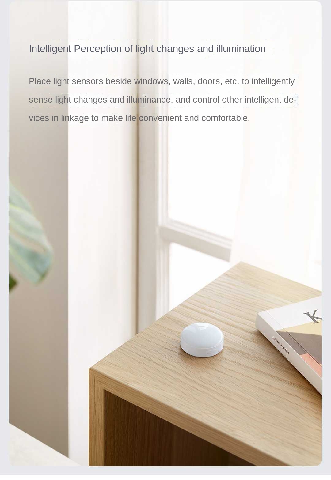 Aqara Light sensor T1 Zigbee 3 - огляд і ціна Smart Garden Xiaomi