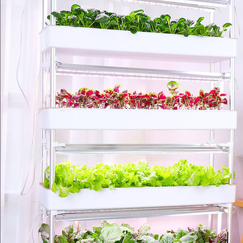 Hydroponics Growing System Ver - огляд і ціна Smart Garden Vertical Planter
