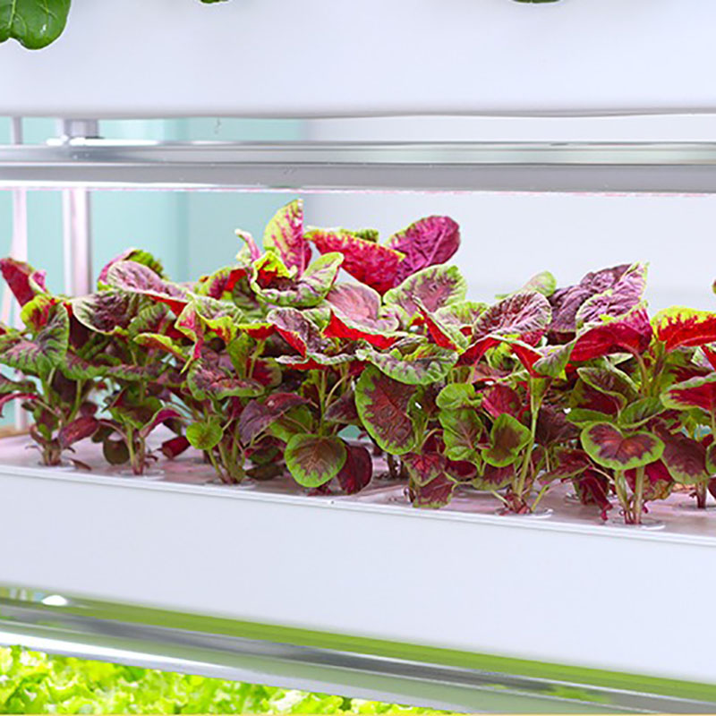 Hydroponics Growing System Ver - огляд і ціна Smart Garden Vertical Planter