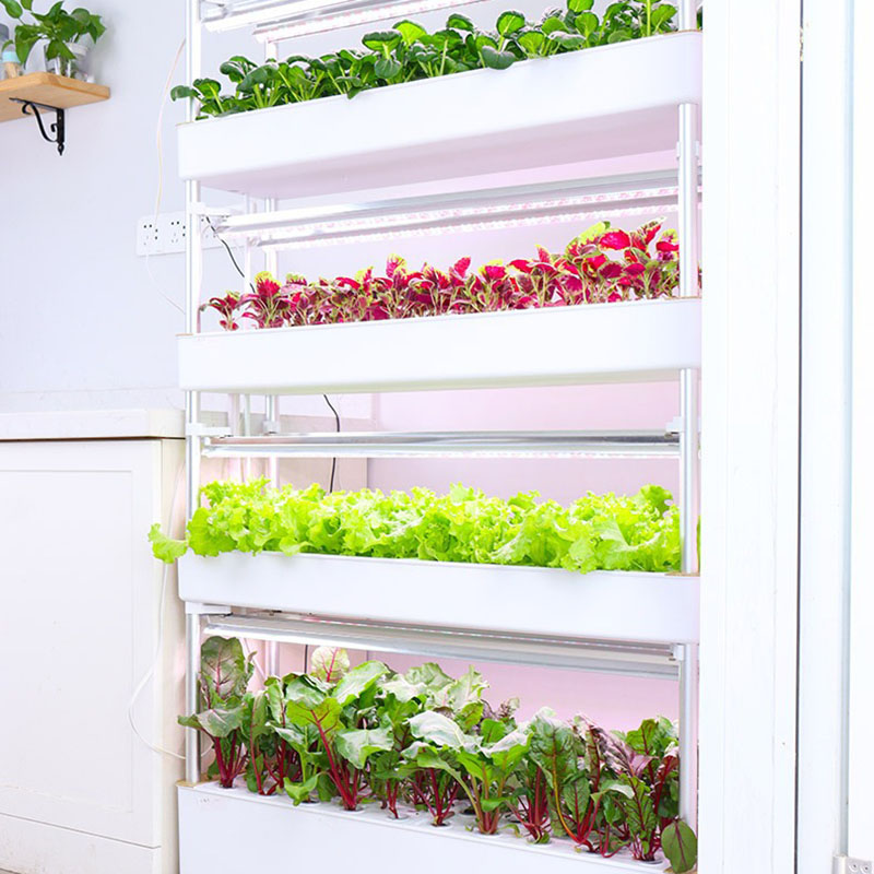 Hydroponics Growing System Ver - огляд і ціна Smart Garden Vertical Planter