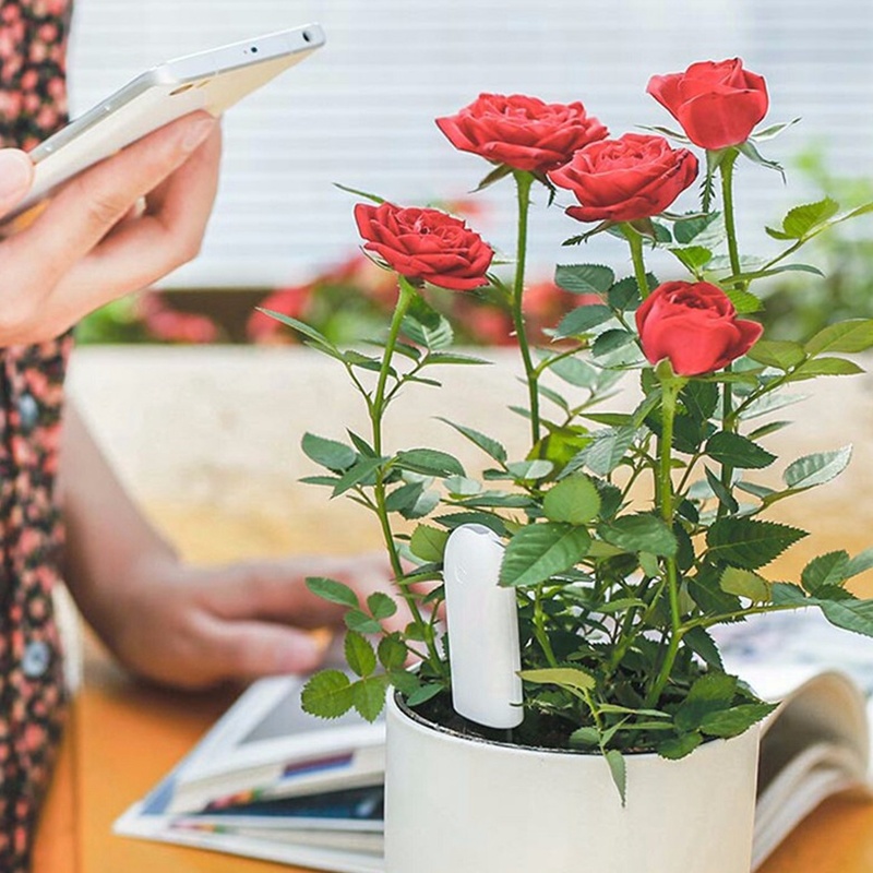 HHCC Flower Monitor Flora Gard - огляд і ціна Smart Garden Xiaomi