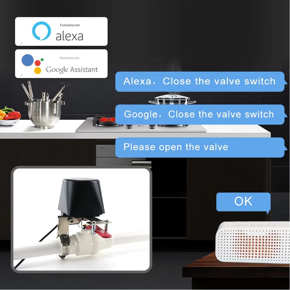 Tuya Zigbee or Wifi Water Valv - огляд і ціна Smart Garden Instructions