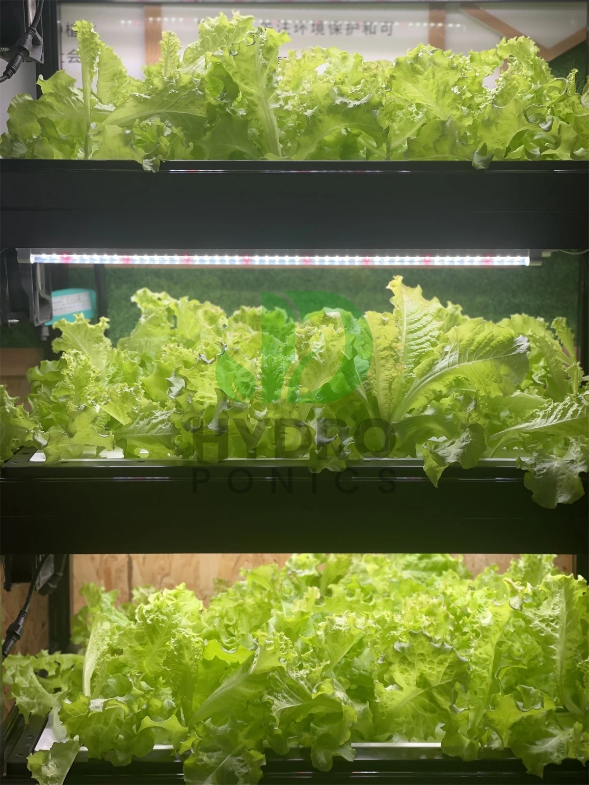 Indoor Home Smart Led Aquaponi - огляд і ціна Aquaponics Home Kit