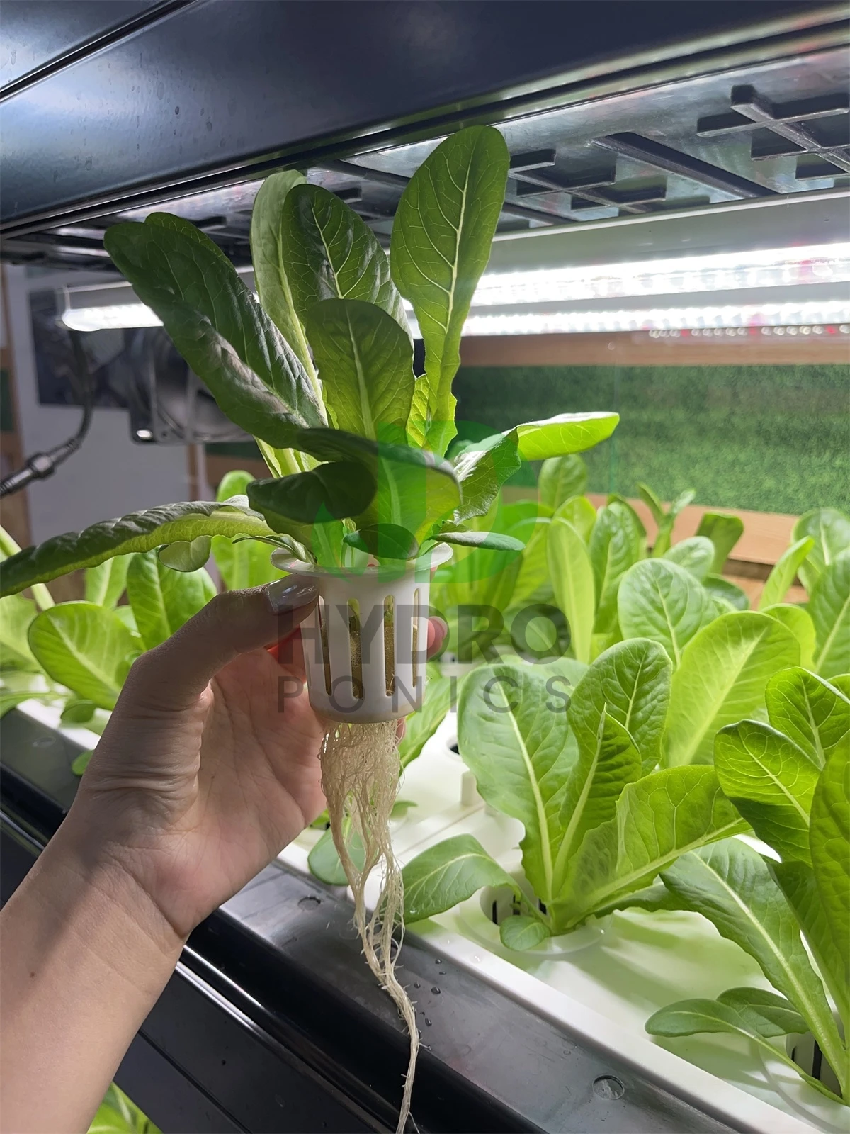 Indoor Home Smart Led Aquaponi - огляд і ціна Aquaponics Home Kit