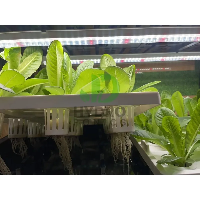 108 Holes Hydroponic Cabinet G - огляд і ціна Aquaponics Home Kit