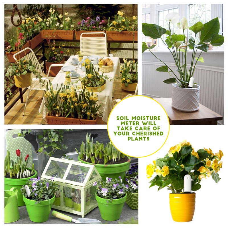HHCC Flower Care Max Smart Pla - огляд і ціна Smart Garden Xiaomi