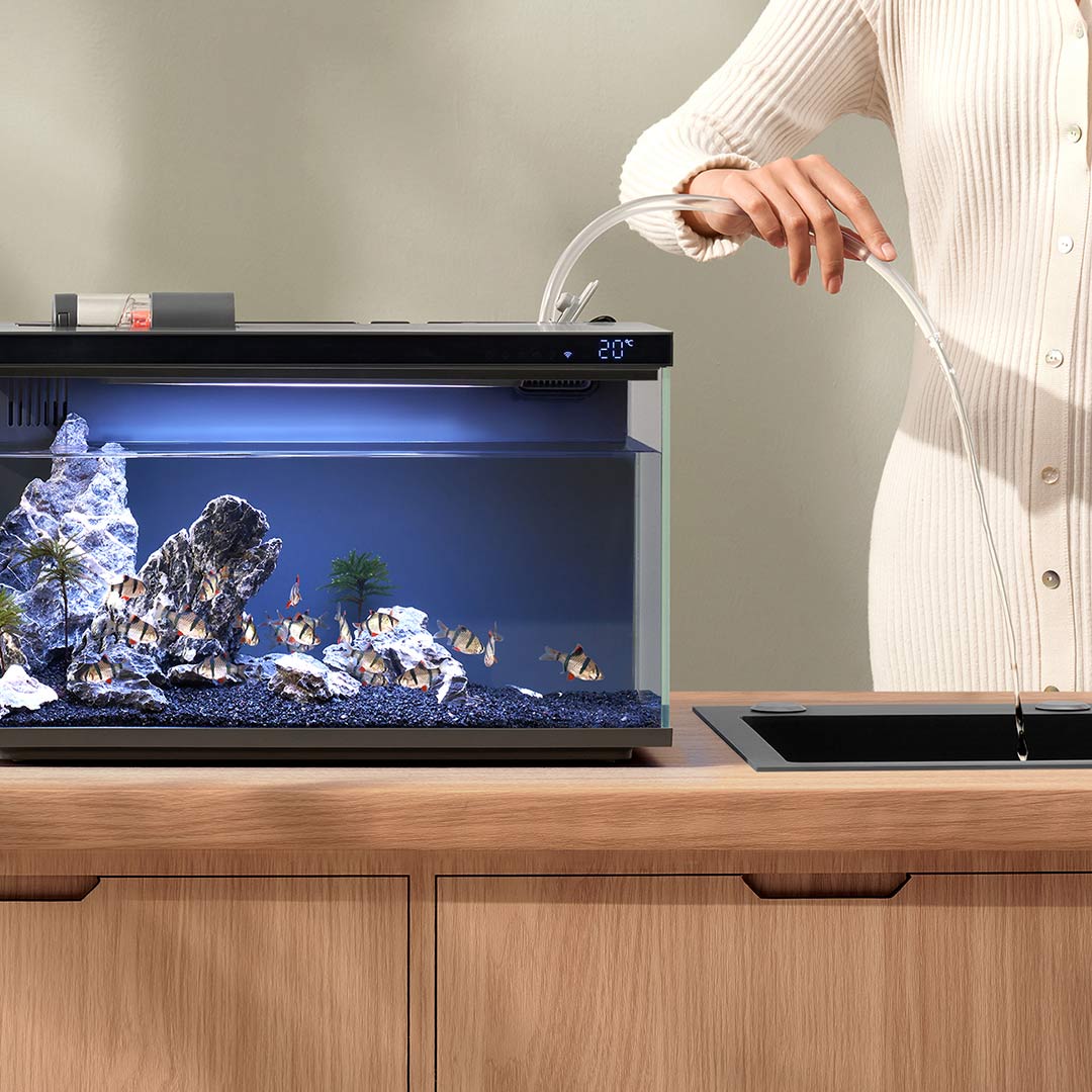 Xiaomi Mijia Smart Fish Tank M - огляд і ціна Smart Garden Xiaomi