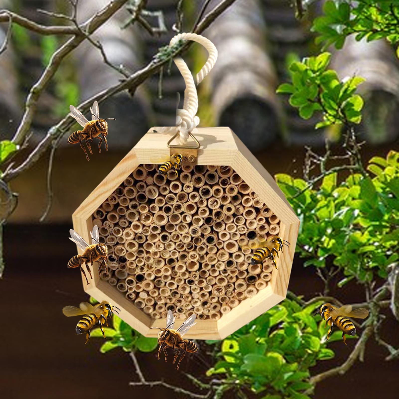 Wooden Insect Bee House Wood B - огляд і ціна Insect Hotel Wood