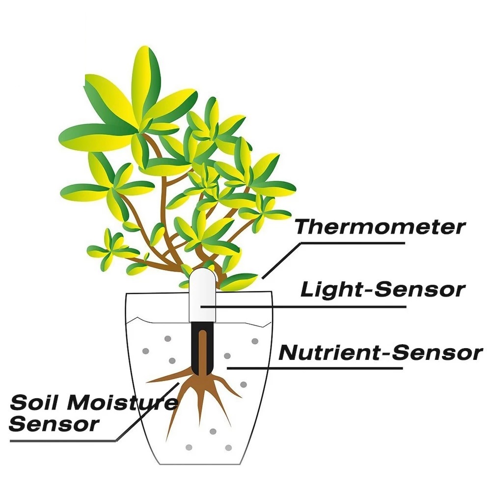 HHCC Flower Monitor Flora Gard - огляд і ціна Smart Garden Xiaomi